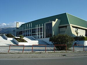 Pale de spor Patras Dimitris Tofalos
