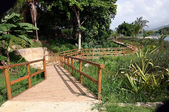 Paseo tablado en el Jardín Botánico en Caguas, Puerto Rico
