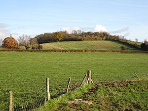 Pasture east of the Moreton road - geograph.org.uk - 1051138