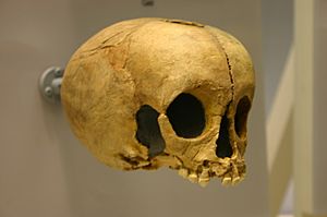 Pech de l'Azé I. Homo neanderthalensis child