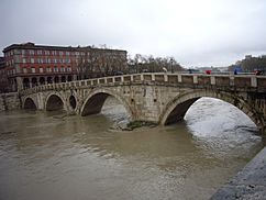 Tiber Island in flood, December 2008
