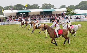 Pony Club races in the West Ring, New Forest Show 2009 - geograph.org.uk - 1431489