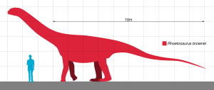 Rhoetosaurus Scale