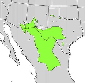 Rhus microphylla range map.jpg