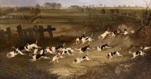 Royal Rock Beagles by John Dalby 1845