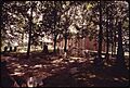 ST. PETER'S EPISCOPAL CHURCH AND GRAVEYARD IN PERTH AMBOY DURING THE REVOLUTIONARY WAR THIS HISTORIC CHURCH... - NARA - 552017