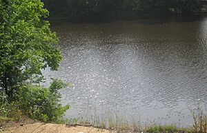 Saline Bayou (Winn-Natchitoches Parish, LA) IMG 7496 1