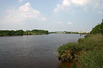 Sampit River just above Georgetown County, South Carolina (17 July 2006)