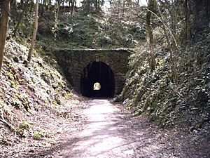 ShuteShelveTunnel-North