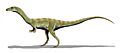 Shuvosaurus BW