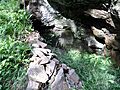 Smith's Cave walling detail, Hawking Craig Wood, Hunterston, North Ayrshire