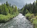 South Fork McKenzie River, Oregon