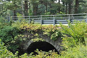 SouthboroughMA WachusettAqueductSecondNorthboroRoadArch