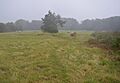 Southorpe Meadow 2