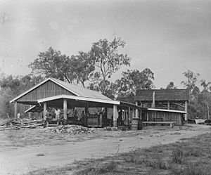 StateLibQld 1 389873 Aurukun sawmill, North Queensland, ca. 1950