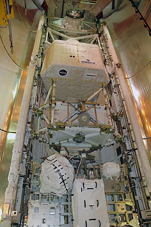 Sts-118 cargo