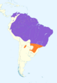 Tachycineta albiventer map
