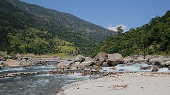Tamur River.jpg
