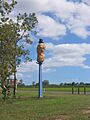 The Big Peanut, Tolga