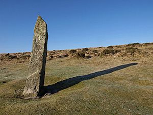 The Long Stone - geograph.org.uk - 1711018