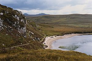 The eastern shore of Loch Braigh Horrisdale