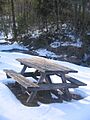 Upper Pine Bottom State Park