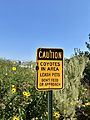 Urban coyote caution sign