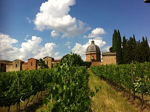 Vasari tempio santo stefano alla vittoria pozzo della chiana