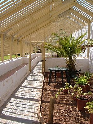 Vinery, Greenway House - geograph.org.uk - 191217