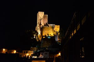 Vista nocturna del Castillo de Almansa
