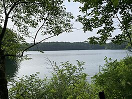 Walden Pond outlook.jpg