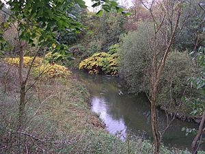 Wince Brook, Middleton - geograph.org.uk - 78591