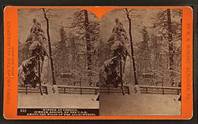 Winter at Cresson, summer resort, on the P. R. R. among the wilds of the Alleghenies, by R. A. Bonine 6