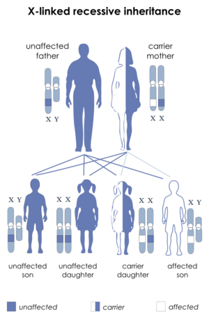X-linked recessive