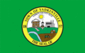 Yadkinville, NC Town Flag