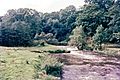 1968 River Goyt, Furness Vale