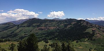 2013-07-12 12 28 20 Coon Creek Peak viewed from the slopes of the Copper Mountains in with the Jarbidge Mountains in the background.jpg