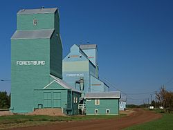 Forestburg grain elevators