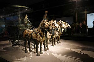 2015-09-22-091227 - Museum der Grabanlage des Qin Shi Huangdi