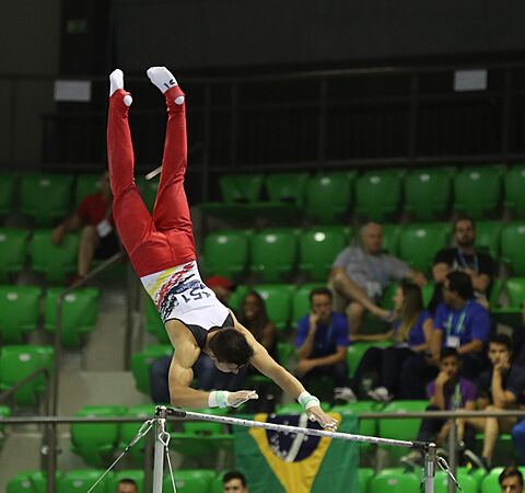 2019-06-27 1st FIG Artistic Gymnastics JWCH Men's All-around competition Subdivision 4 Horizontal bar (Martin Rulsch) 235