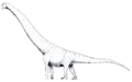 Aegyptosaurus LM