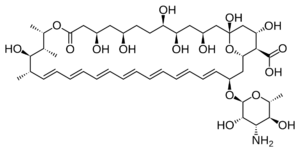 Amphotericin B structure