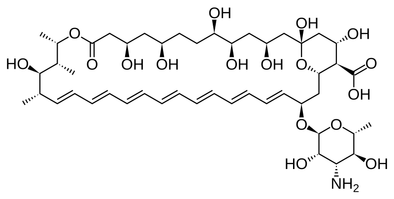 Amphotericin B structure