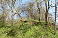 Battery B Site, Battle of Helena