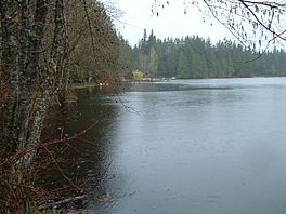 Beaver Lake (King County, Washington).JPG