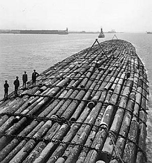 Benson sea-going log raft