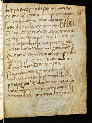 Bern, Burgerbibliothek, Cod. 611, f. 73r – Composite manuscript Merovingian excerpts from grammatical, patristic, computistic and medical works