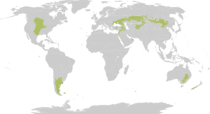 Biome map 08