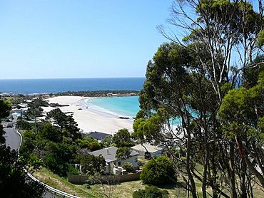 Boat harbour beach from lookout.jpg