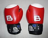 Boxing gloves Bail 10-OZ (1).jpg